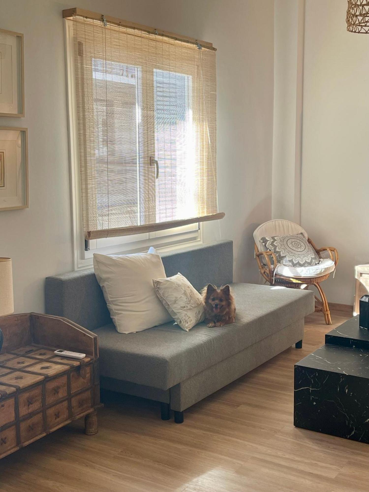 Apartament Stella'S Petite Boite Rafína Zewnętrze zdjęcie